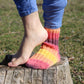 LGBTQ+ Pride socks, Rainbow striped wool blend socks