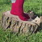 Rich Red Ribbed Cuff Socks