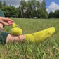 Colourful cotton socks, Moisture-wicking anklets